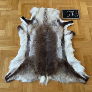 Reindeer Hide Exclusive Unique Giant Size 130 x 120 cm Reindeer Skin Scandinavian Style Reindeer Rug Rentierfell Peau de Renne Pelle renna