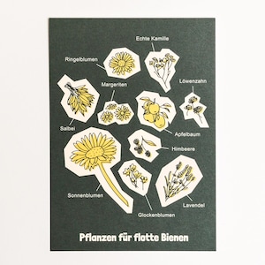 Pflanzen für flotte Bienen Postkarte