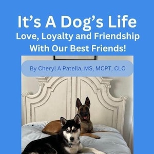 It&#39;s A Dog&#39;s Life