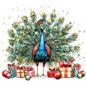 10 illustrations numériques de paon et cadeaux de Noël, Images PNG et JPG de haute qualité, clipart, téléchargement imprimable, Noël, paon de Noël