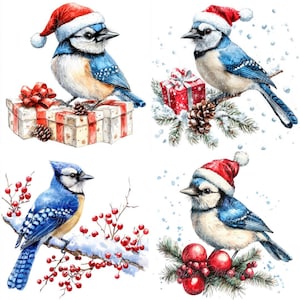 10 illustrations numériques de Noël geai bleu, images PNG et JPG de haute qualité, cliparts, téléchargement imprimable, geai bleu en hiver, oiseau bleu, neige