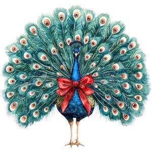 10 Illustrations numériques de paon avec noeud, Images PNG et JPG de haute qualité, Clipart, téléchargement imprimable, paon de Noël, oiseau bleu élégant