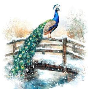 Illustrations numériques de paon sur le pont en hiver, Images JPG de haute qualité, Clipart, téléchargement imprimable, élégant paysage d'hiver, neige