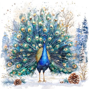 10 illustrations numériques de paon en hiver, images JPG de haute qualité, cliparts, téléchargement imprimable, neige, forêt, paysage élégant, Noël