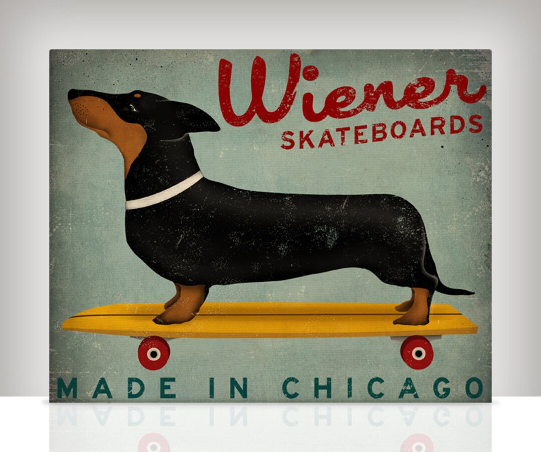 weiner dog on a skateboard