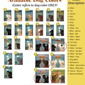 May include: A chart showing different dog colors with a letter code for each color. The chart includes a description of each color combination. For example, A is white, B is tan, C is apricot, D is red, E is brown, F is grey, G is black, H is white and tan, I is white and apricot, J is white and red, K is white and black, L is white and black, M is tri-color, N is phantom, O is white with an ear spot, P is black with an eye spot, Q is white with an eye spot, R is white and grey, S is grey merle, T is dark brown, U is white with apricot ears, V is black with a white face, W is brown and brown, and X is black with blonde.
