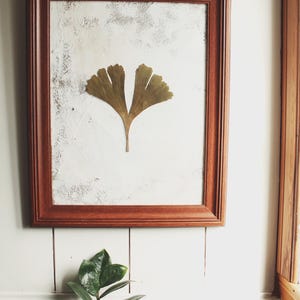 Cadre vintage avec plante séchée · Herbier ·  Ginkgo Biloba · Art botanique sur fond d’argile · Décoration murale