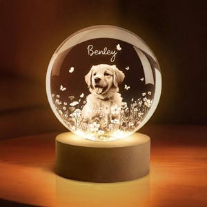 Könnte beinhalten: Eine beleuchtete Glaskugel auf einem hellbraunen Sockel. Im Inneren ist ein Golden Retriever-Welpe von Blumen und Schmetterlingen umgeben. Der Name "Benley" steht in Schreibschrift oben auf der Kugel. Der Sockel strahlt ein warmes, weiches Licht aus.