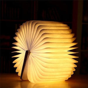 May include: A glowing, open book-shaped lamp with a warm, yellow light. The lamp's pages are fanned out, creating a unique, layered design. The lamp is made of paper and has a wooden spine. The lamp is on a wooden surface.