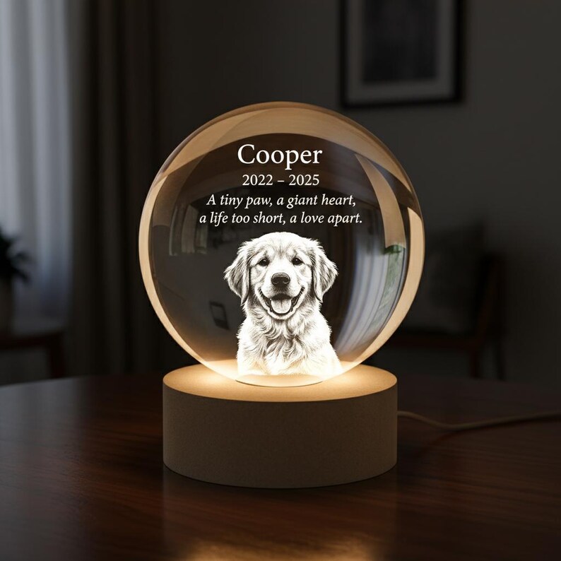 Pet Memorial Crystal Ball Light, Custom Dog 3D Engraved Photo Night ...