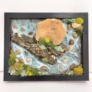 May include: A rectangular black frame containing a nature-inspired diorama. A central piece of textured tree bark is topped with a tan shelf fungus and green moss. The base features blue and white resin water, smooth river stones, and lichen.