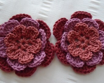 Crocheted flowers set of 2 appliques 2.5 inch embellishment motif