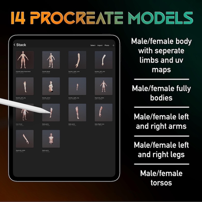 May include: A screenshot of a digital art app showing 14 different 3D models of a human body. The models include a full body, separate limbs, and torsos. The text "14 PROCREATE MODELS" is at the top of the image.