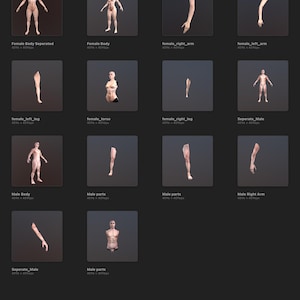 May include: A grid of images showing different body parts, including a full body, torso, arms, and legs. The images are labeled with the body part name and the dimensions of the image.