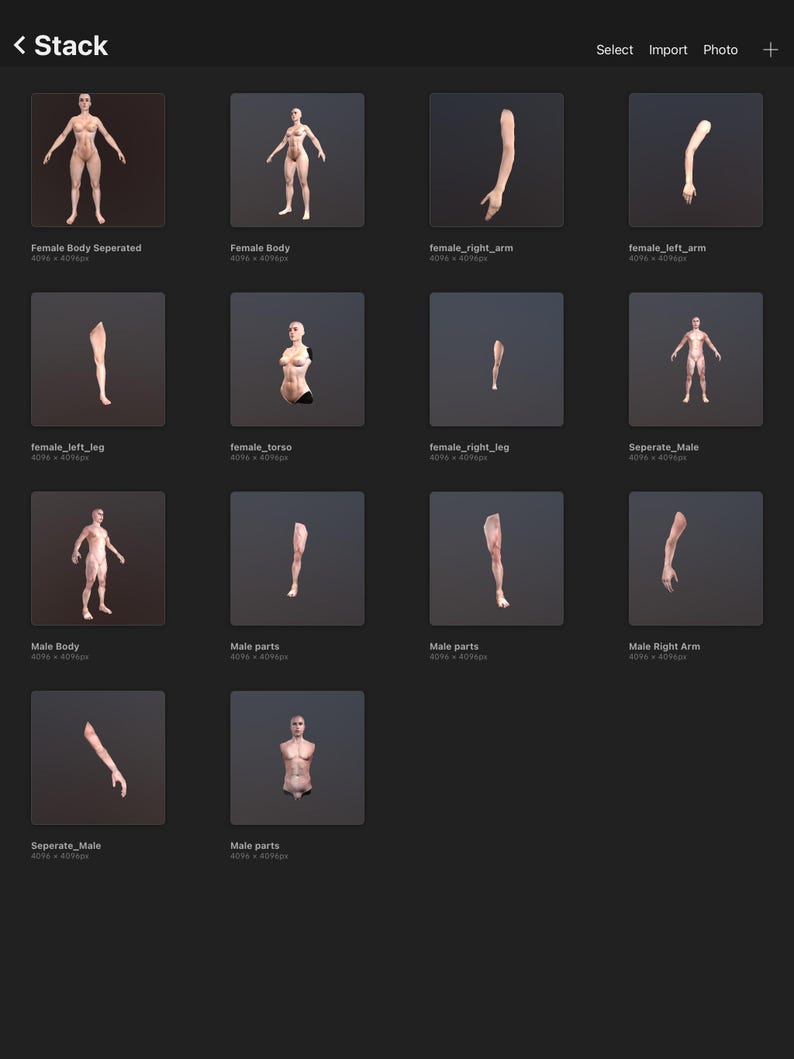 May include: A grid of images showing different body parts, including a full body, torso, arms, and legs. The images are labeled with the body part name and the dimensions of the image.