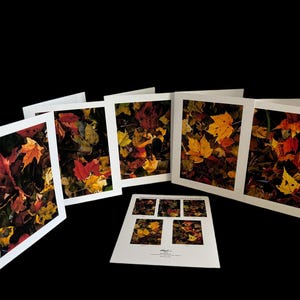 Einzigartige botanische Aquarellkunst von lebhaften Herbstblättern aus dem wunderschönen Jordan-Tal in garmigate auf hochwertigen Archivkarten