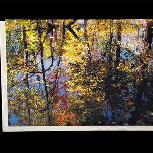 Otoño II: Tarjeta de felicitación de archivo de alta calidad con los colores del otoño reflejándose en un estanque cerca de Ann Arbor, Michigan