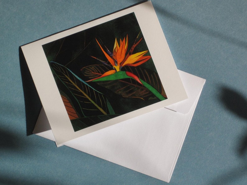 Paraiso III Greeting Card
