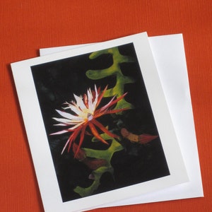 Cactús (carte de voeux unique) : giclée de haute qualité d'une aquarelle représentant une fleur de cactus d'Amérique du Sud, imprimée sur du papier d'archives