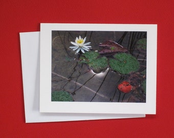 Waterlily Greeting Card