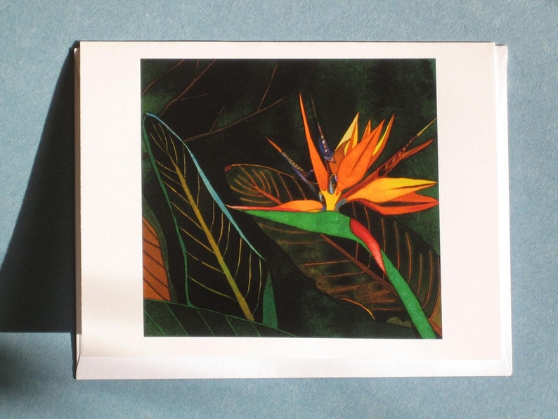 Paraiso III Greeting Card