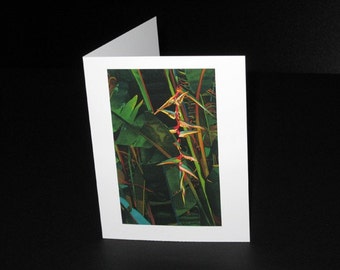 Platanillo Greeting Card