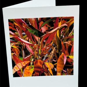 Lengua de Dragón (tarjeta individual): obra de arte botánica única en acuarela de una vibrante planta tropical, impresa en papel de archivo de alta calidad.