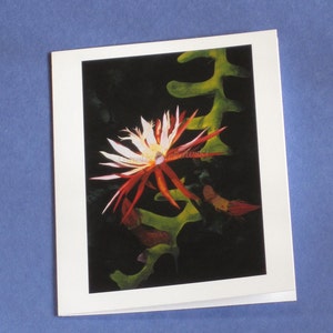 Cactus Greeting Card image 5
