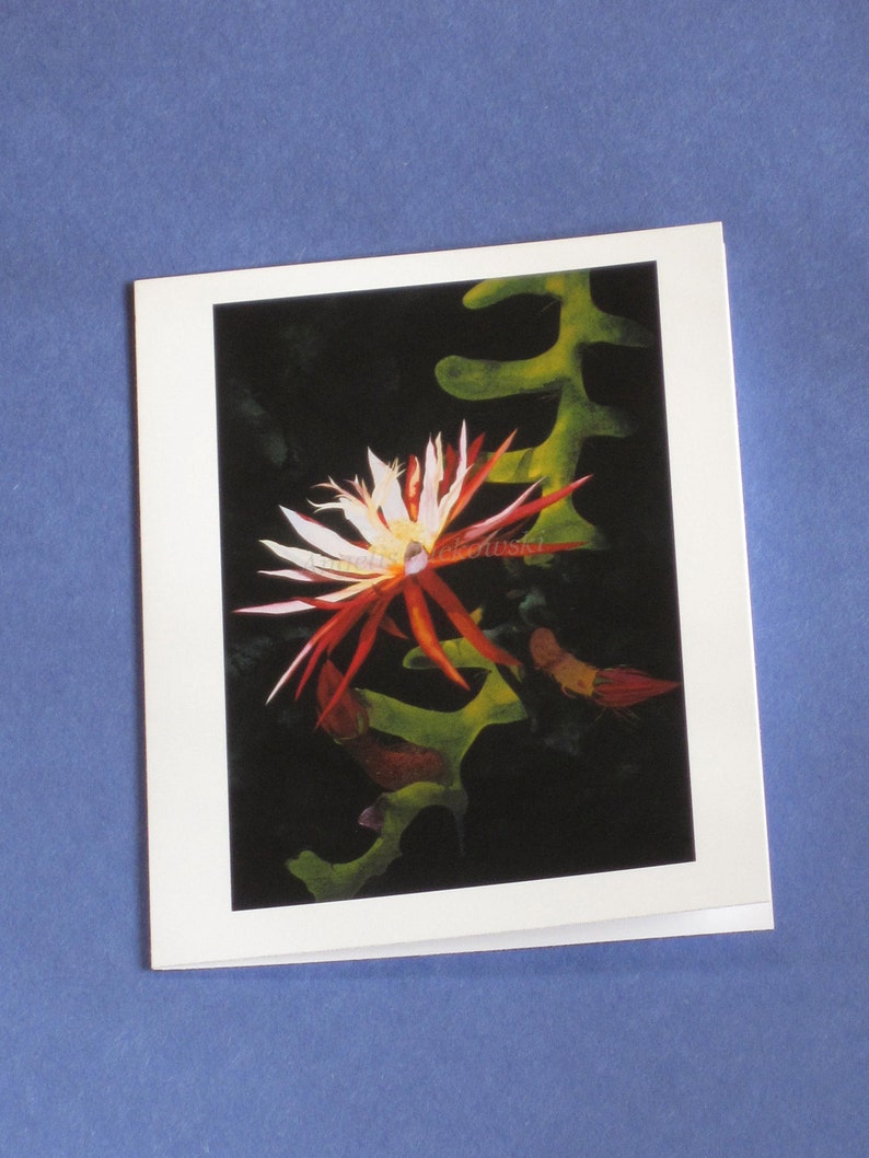 Cactus Greeting Card image 5