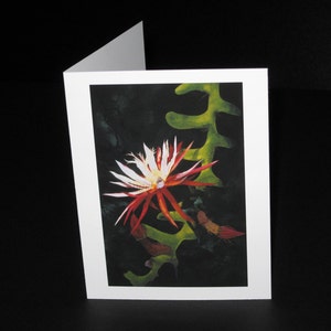 Cactus Greeting Card image 2