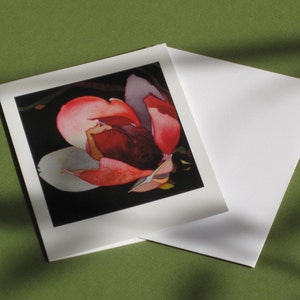 Magnolien III (Einzelkarte): Einzigartige botanische Aquarellzeichnung der dritten Magnolie der Reihe, gedruckt auf hochwertiges Archivpapier