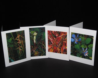 Greeting Card - 4 Pack of Award-winning Original Watercolors