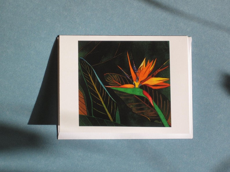 Paraiso III Greeting Card