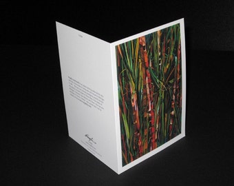 Cañas Greeting Card