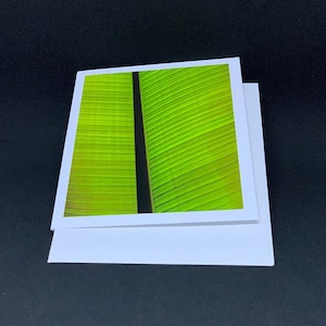 Verde (carte unique) : carte de voeux d'archives représentant une feuille de palmier brillamment verte photographiée en Allemagne
