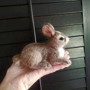 Needle Felted Baby Rabbit