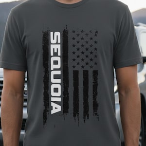 Puede incluir: Una camiseta gris oscuro con un diseño de bandera estadounidense desgastada. Las rayas de la bandera son negras y las estrellas están dispuestas en un campo. La palabra "SEQUOIA" está impresa verticalmente en letras blancas.