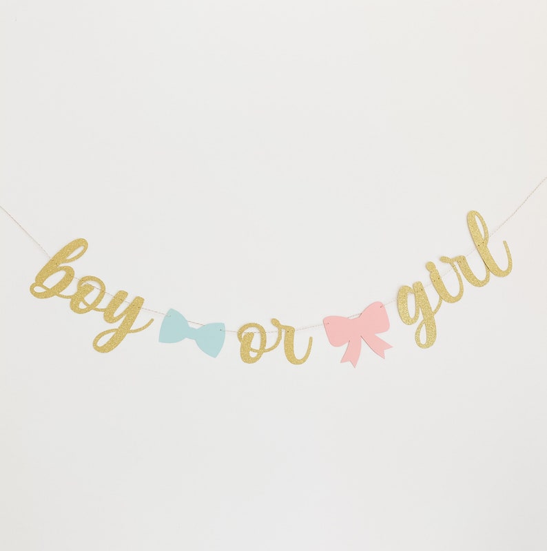 Boy or Girl gender reveal banner with blue bow and pink ribbon, Virtual Gender reveal party image 2