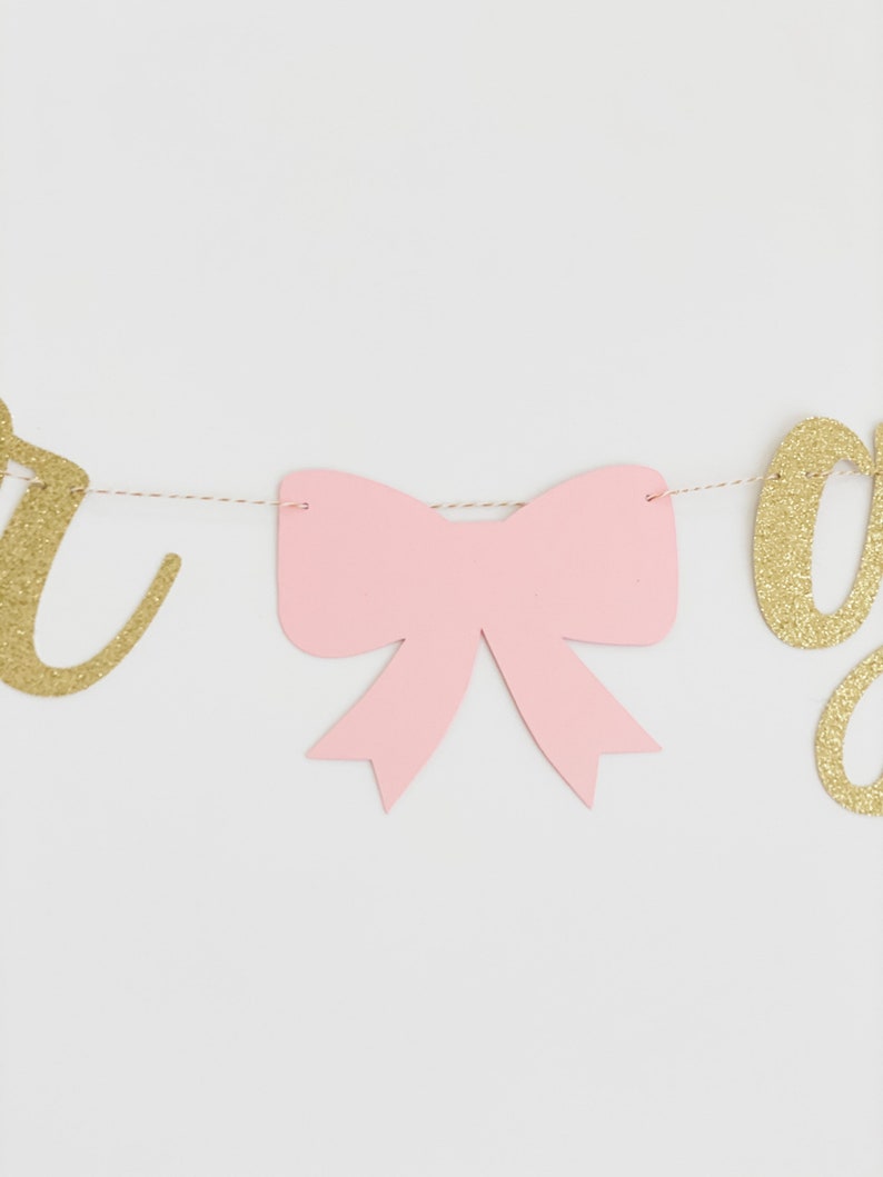Boy or Girl gender reveal banner with blue bow and pink ribbon, Virtual Gender reveal party image 4