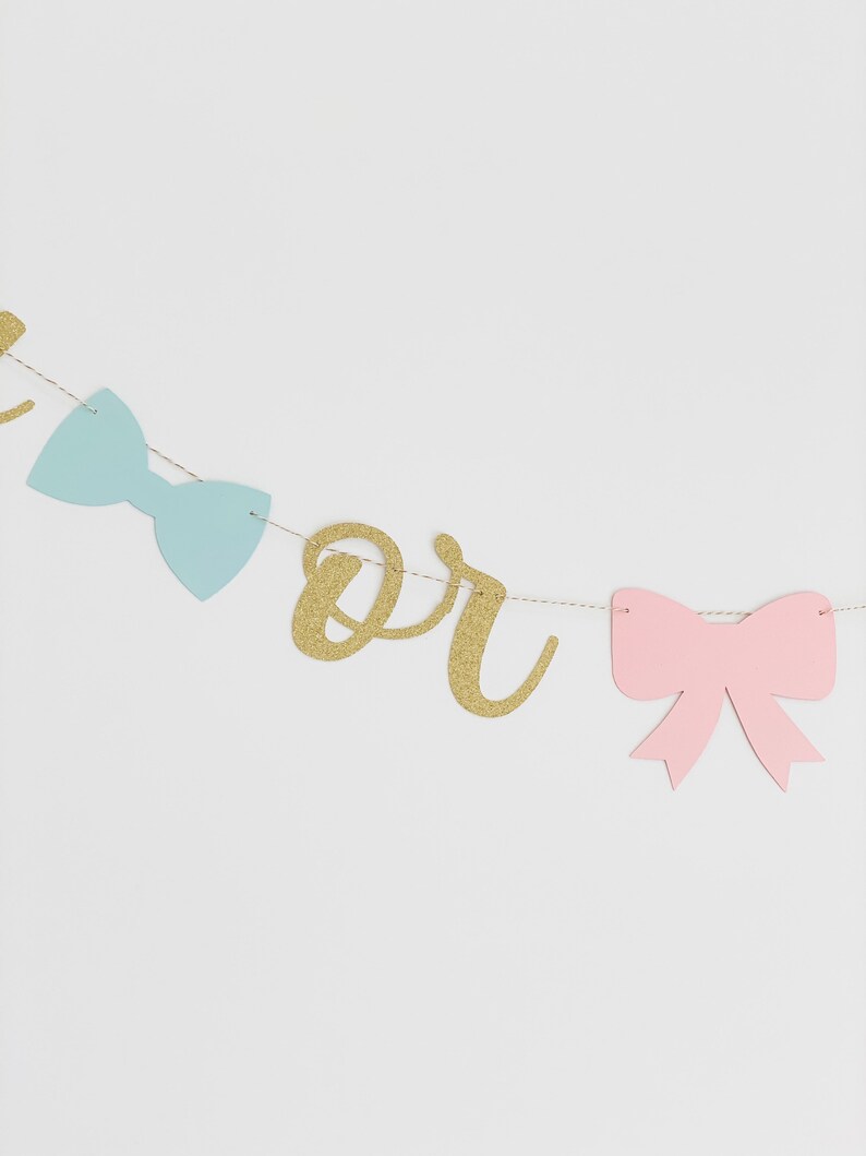Boy or Girl gender reveal banner with blue bow and pink ribbon, Virtual Gender reveal party image 3