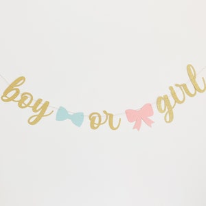 May include: Gold glitter gender reveal banner with the words "boy or girl" and a blue bow tie and pink bow.