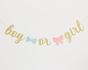 Boy or Girl gender reveal banner with blue bow and pink ribbon, Virtual Gender reveal party