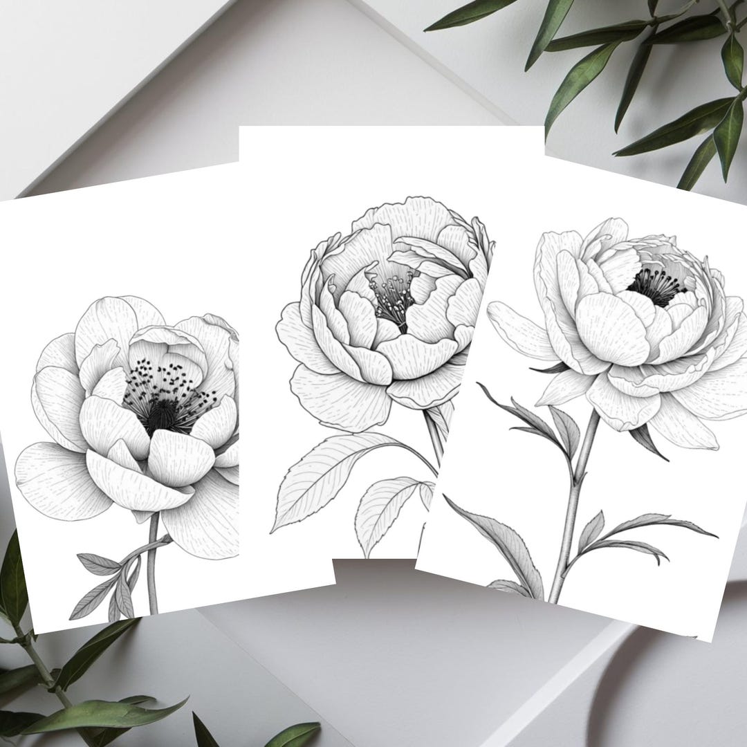 3 Elegant Flower Coloring Pages - Adults and Kids Coloring Book ...