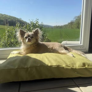 Orthopedic dog cushion dog bed handmade 60x50x6cm lime