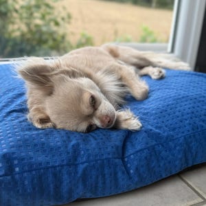 Orthopedic Dog Cushion Dog Bed Handmade 60x50x6cm Blue