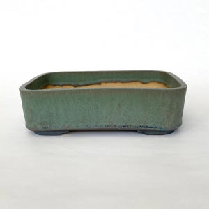 May include: A rectangular, green ceramic bonsai pot with a slightly textured surface. The pot has a light brown interior and sits on four small, dark grey feet. The edges are rounded, and the overall shape is low and wide.