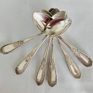 Può includere: Una collezione di cucchiai d'argento disposti a ventaglio. I cucchiai presentano dettagli floreali ornati sui manici e una superficie lucida e riflettente. I cucchiai sono su uno sfondo chiaro e uniforme.