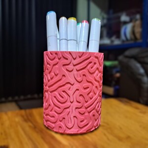 Puede incluir: Un portaplumas de plástico rojo con un patrón de cerebro. El portaplumas está lleno de varios marcadores blancos.