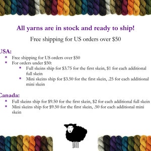 Worsted Weight Hand Dyed Yarn. 100% Superwash Merino Wool. POTLUCK RAINBOW. Indie Dyer OOAK Knitting Crochet Yarn. Deep Rich Colors image 6