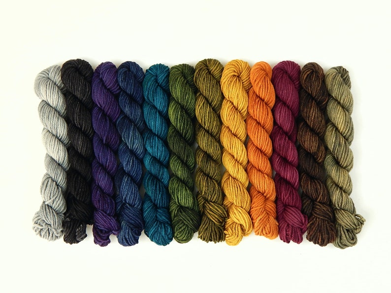 WORSTED Weight Mini Skeins Hand Dyed Yarn 100 Superwash Etsy